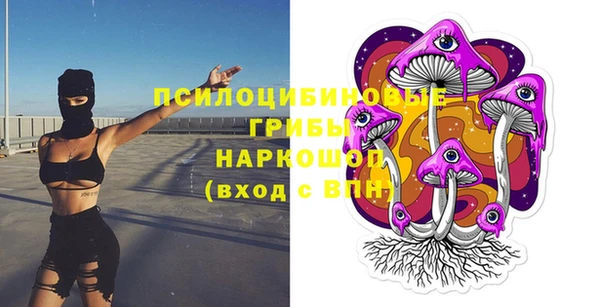 амф Россошь