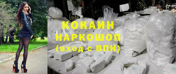первитин Няндома