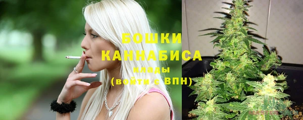 амф Россошь