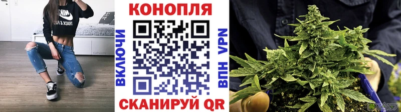 дарк нет состав  Нюрба  Бошки марихуана план 